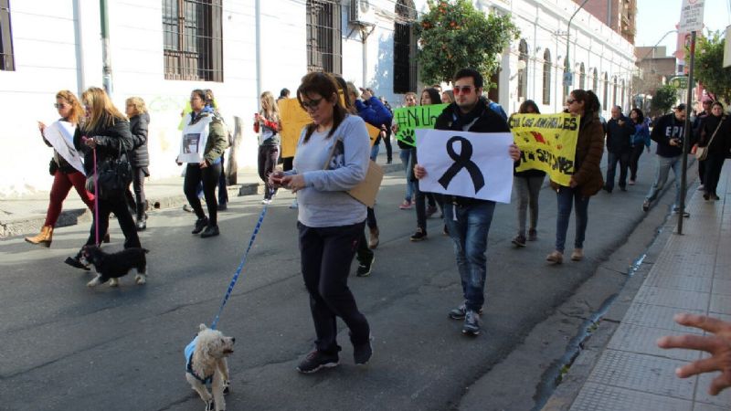 Marcha de proteccionistas por la matanza de animales