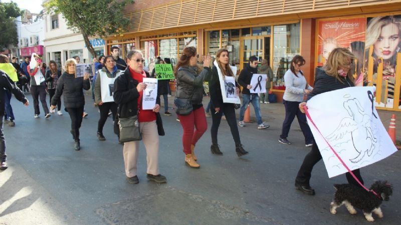 Marcha de proteccionistas por la matanza de animales