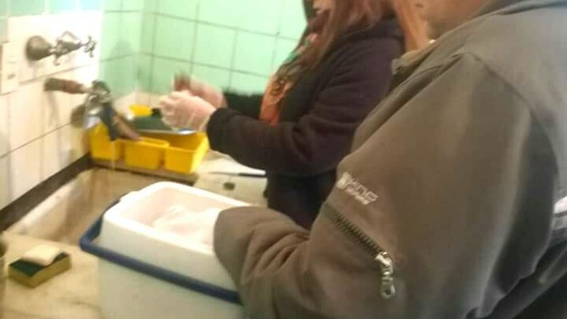 Jornada de Saneamiento Ambiental y Bromatología en Icaño