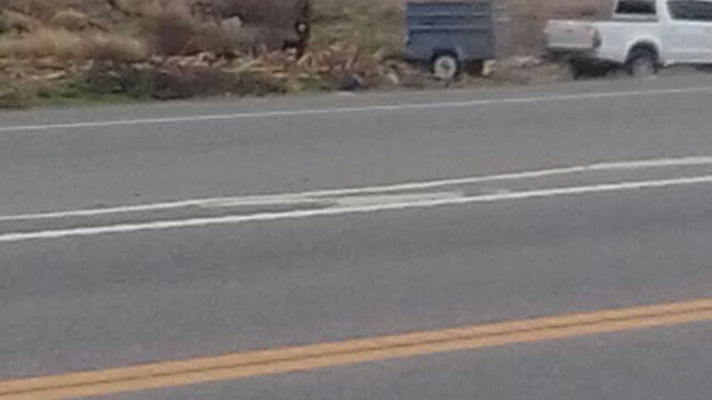 Lo sorprendieron arrojando basura en la Circunvalación