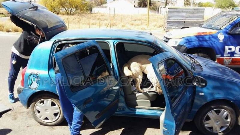 Detenidos con droga cerca del Parque de los Niños