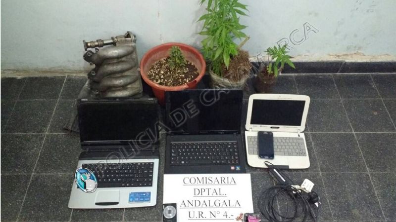 Esclarecen robo y secuestran marihuana en allanamientos en Andalgalá
