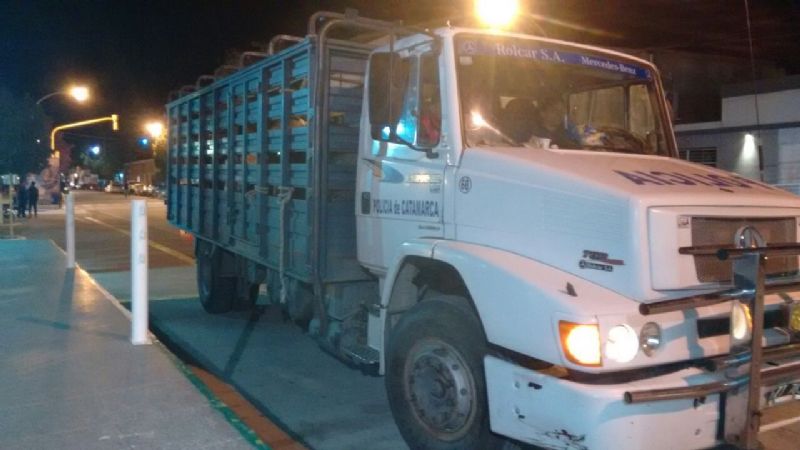 Animales sueltos: fuerte operativo en rutas lapaceñas