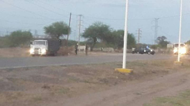 Animales sueltos: fuerte operativo en rutas lapaceñas