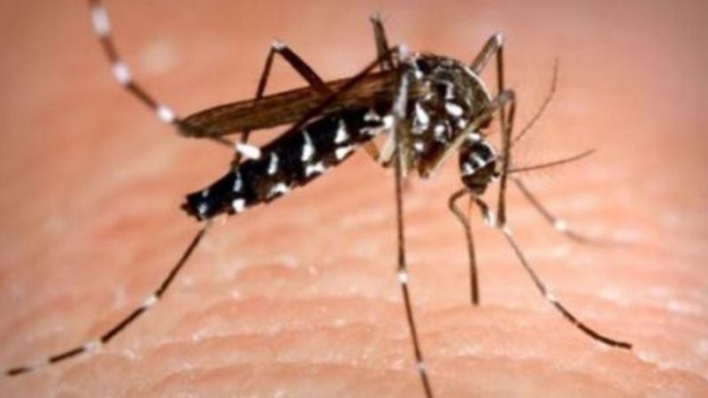 Aprueban en el país la primera vacuna que protege contra el dengue