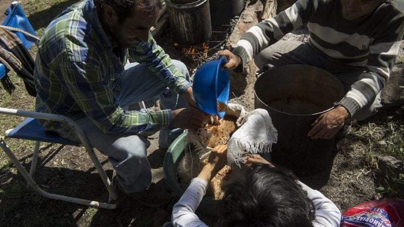 “Hilando Raíces” para recuperar técnicas textiles ancestrales