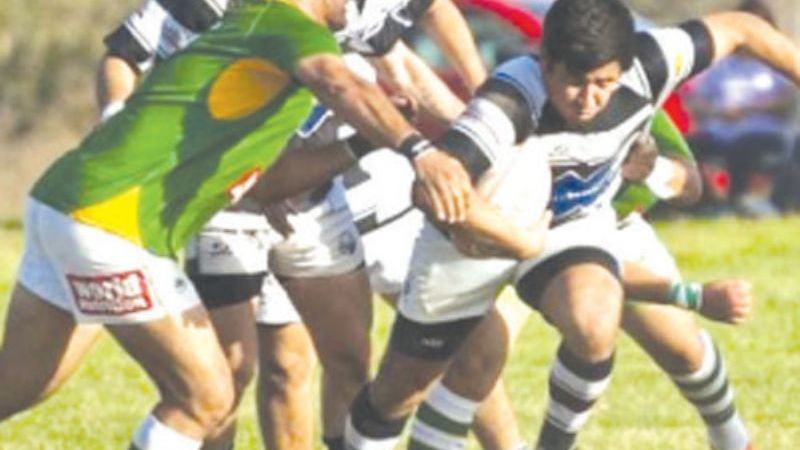 Los Teros por el título y Los Hurones por la permanencia