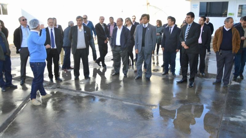 Senadores visitaron la planta industrial “Olivares del Sol”