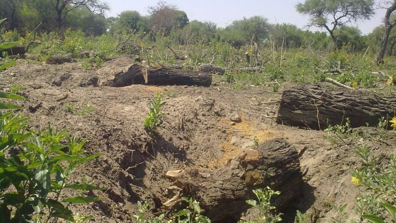 Respuesta a denuncias por desmontes en Santa Rosa