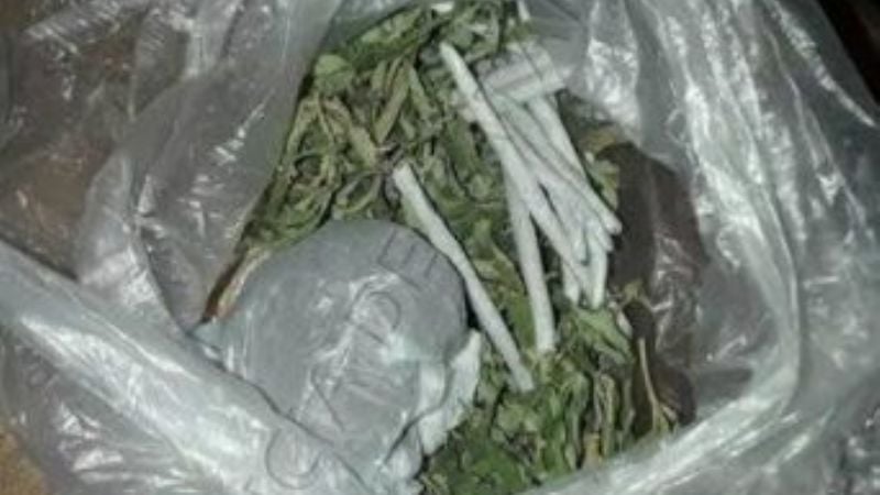 Fueron por un televisor robado y encontraron plantines de Marihuana