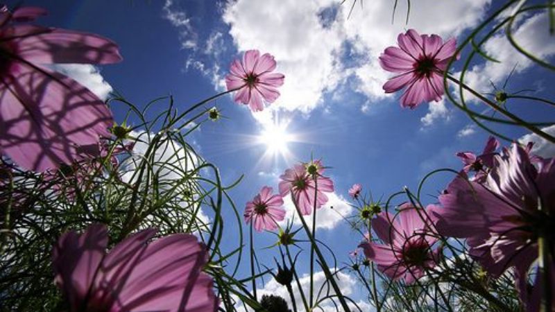 Llegó la primavera con más celebraciones