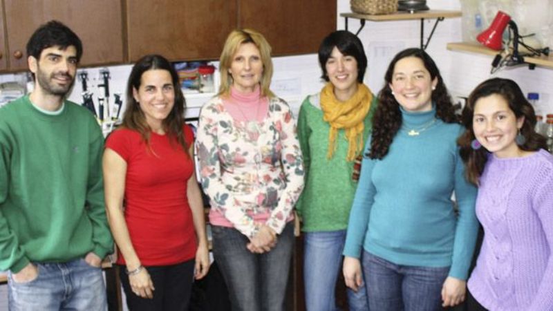 Las bondades de la papa