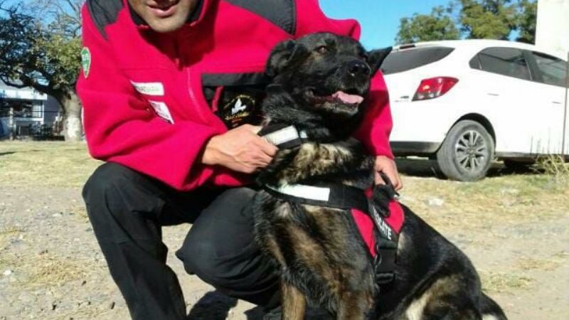 Aseguran que no le negaron permiso a rescatista para ir a México