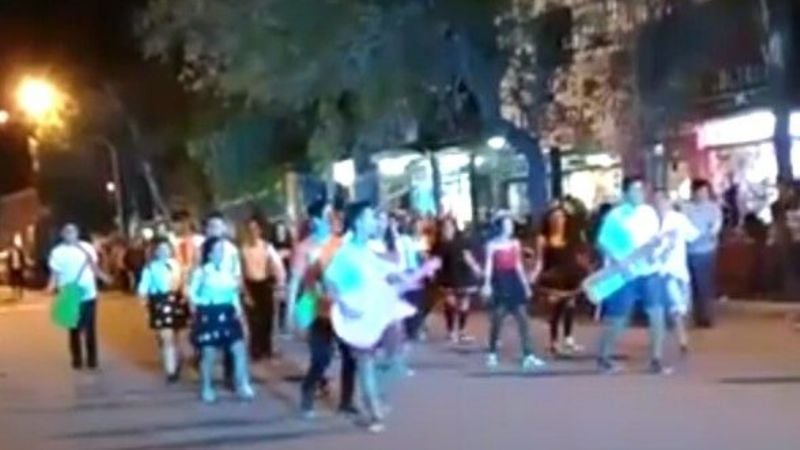 Tradicional desfile de carrozas y farándulas en Recreo