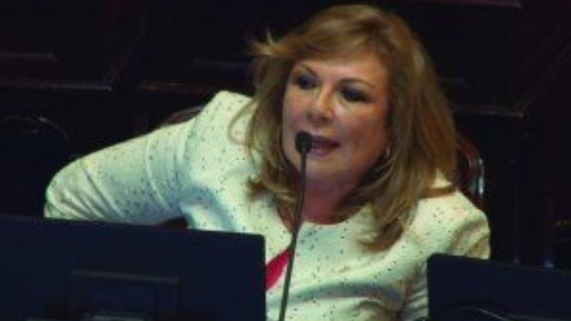 El Senado trata el proyecto para restituir los feriados puente