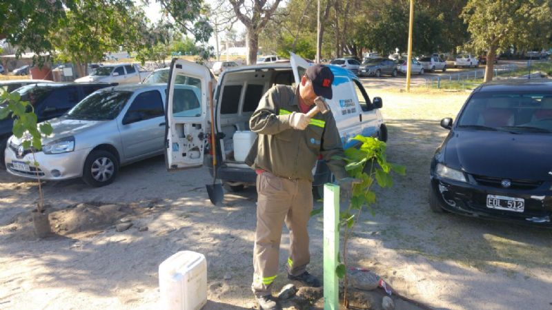 Plan de Forestación y Restauración Ambiental en Aguas de Catamarca