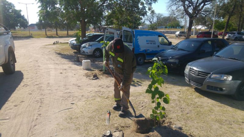 Plan de Forestación y Restauración Ambiental en Aguas de Catamarca