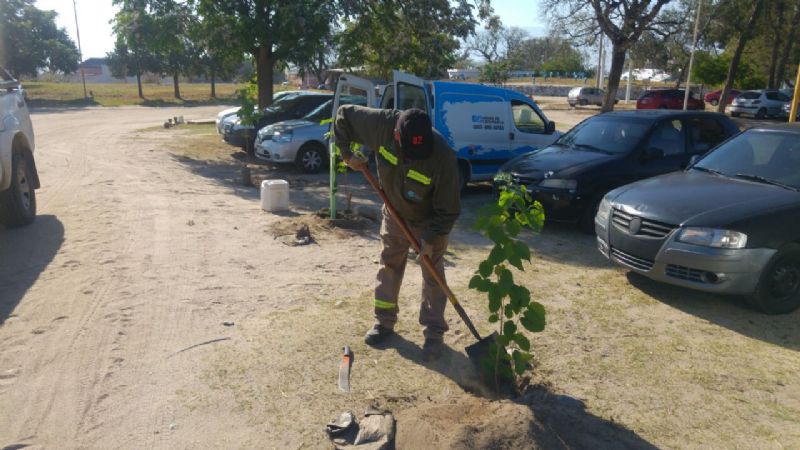 Plan de Forestación y Restauración Ambiental en Aguas de Catamarca