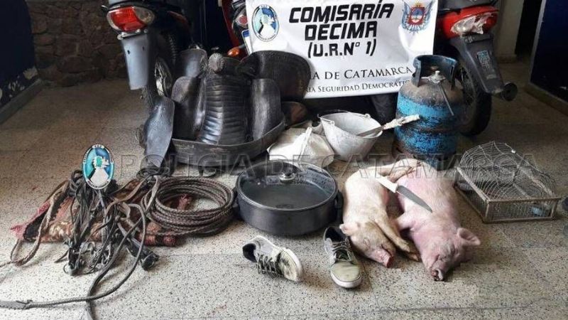 Demoran a un adolescente con gran cantidad de elementos robados