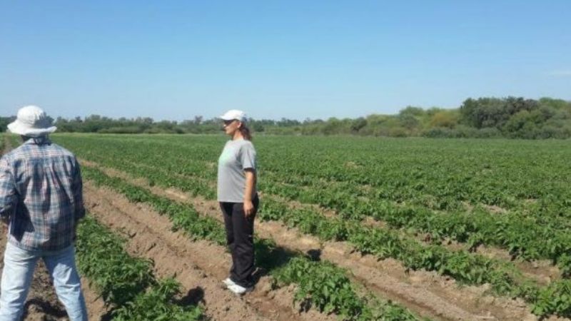 AICAT aclaró cuestionamientos  de productores