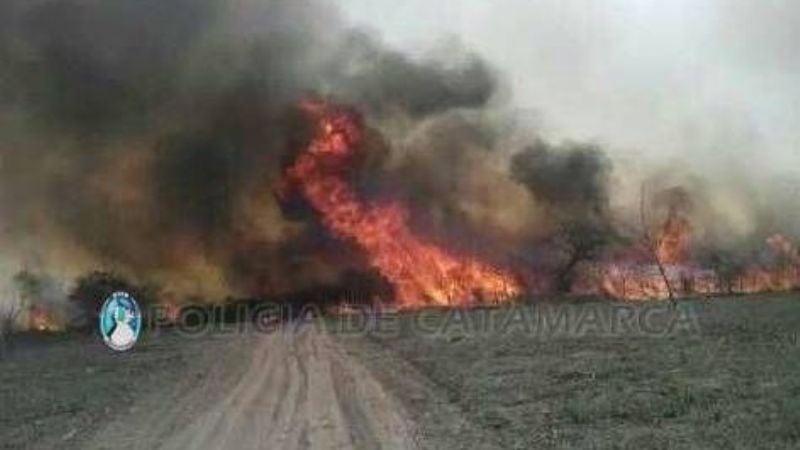 Importante incendio forestal en el departamento Ambato