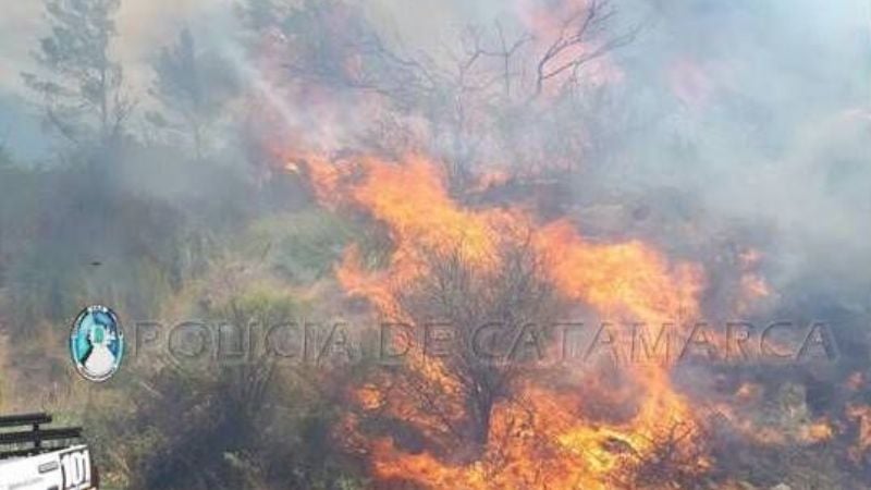 Importante incendio forestal en el departamento Ambato