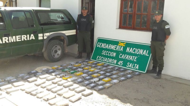 Detuvieron en Salta a belicho con más de 123 Kg. de cocaína