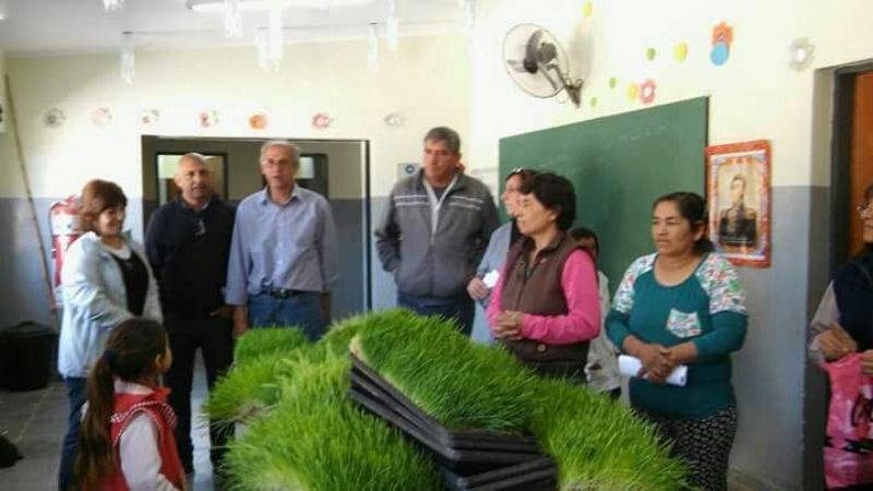 Capacitación en cultivo hidropónico en Ancasti