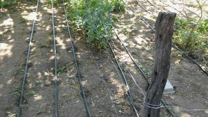 Capacitación en cultivo hidropónico en Ancasti