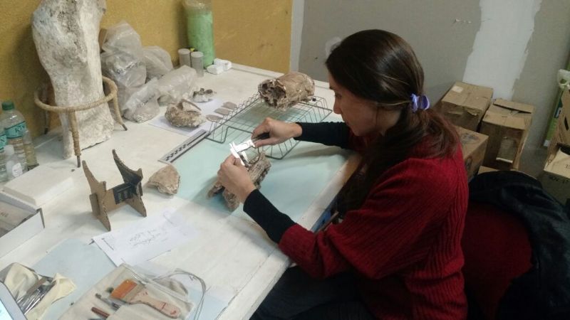 Valioso descubrimiento paleontológico en la Capital