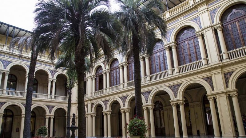 La Casa Rosada recorta personal pero gasta $235 mil en una palmera