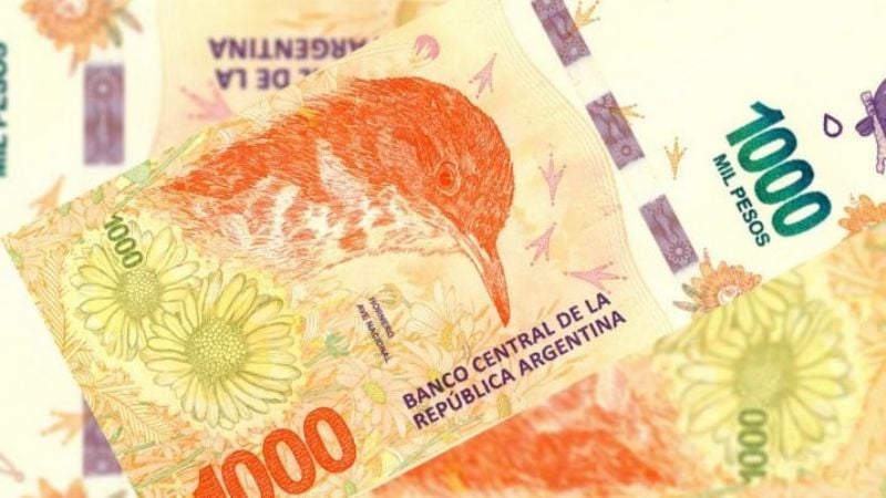 Conocé cuáles son las medidas de seguridad del nuevo billete de $1.000