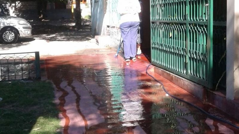 Durante el 2017, se recolectó un total de 100 mil kilos de chatarra