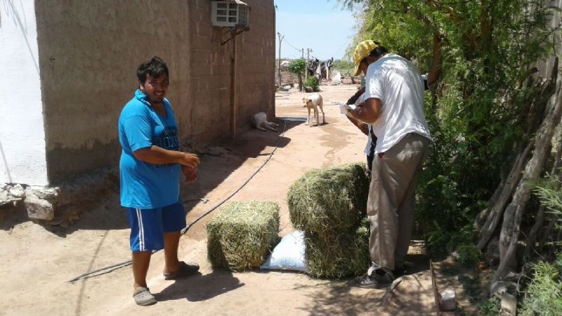 Nueva entrega de forraje en La Guardia