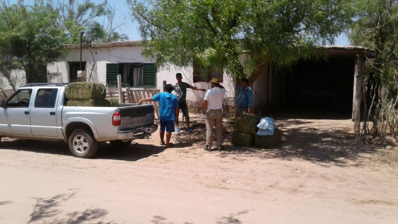 Nueva entrega de forraje en La Guardia