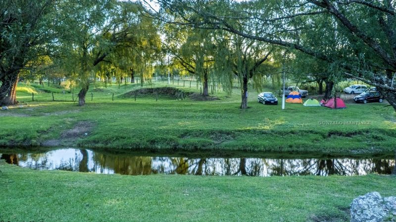 Se pelearon en el camping y terminaron en la comisaría