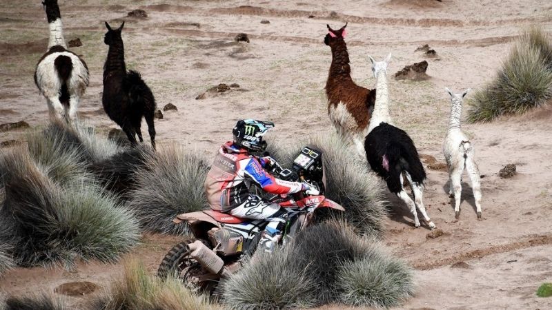 Belén recibe hoy a la 10ma. etapa del Dakar 2018