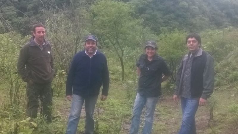 Controlan Proyectos de Conservación de Bosques