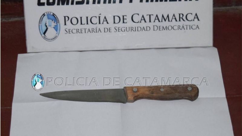Golpeó a una mujer, huyó y quiso agredir con un cuchillo a policías