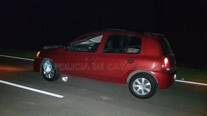 Animal suelto en la ruta casi causa una tragedia