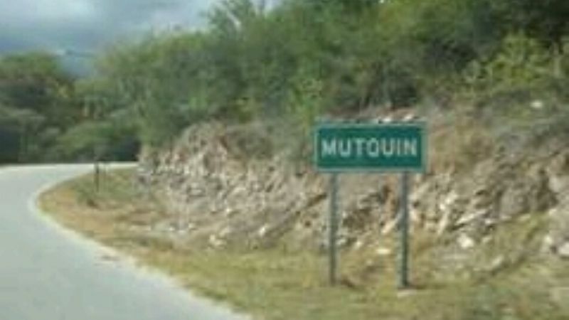 Mutquin, en Temporada