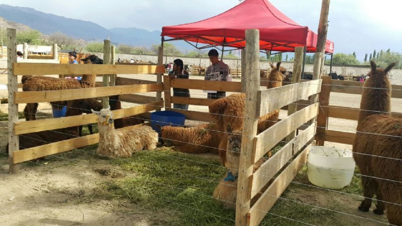 Arrancó la Expo Productiva en San José