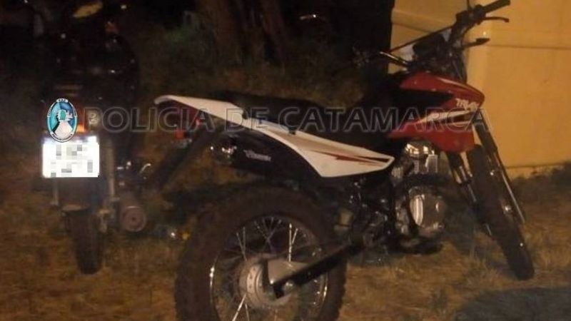 Secuestran vehículos y un caballo en los puestos camineros