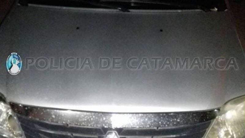 Secuestran vehículos y un caballo en los puestos camineros