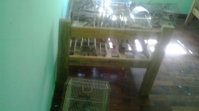 Ambiente realizó los primeros secuestros y liberaciones del año