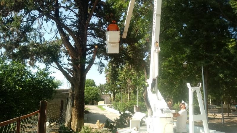 Poda de árboles y limpieza de calles en Chumbicha