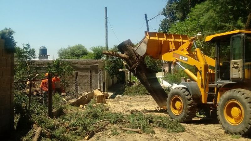 Poda de árboles y limpieza de calles en Chumbicha