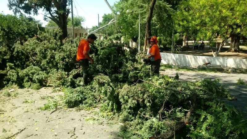 Poda de árboles y limpieza de calles en Chumbicha