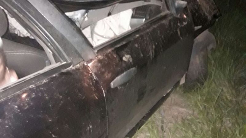 Chocaron con un animal en la ruta