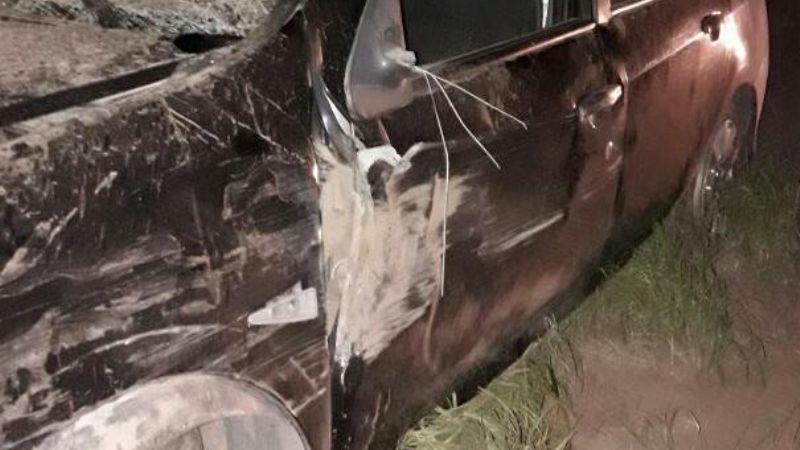 Chocaron con un animal en la ruta